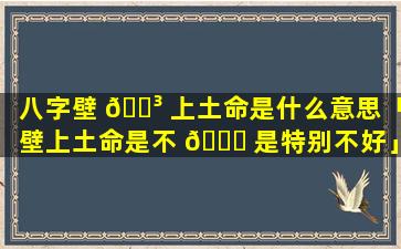 八字壁 🐳 上土命是什么意思「壁上土命是不 🐋 是特别不好」